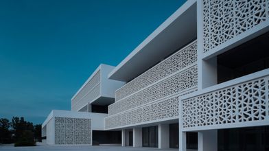 A building with geometric screens